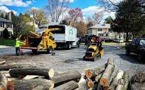 Best Leaf Removal  in New Windsor, MD